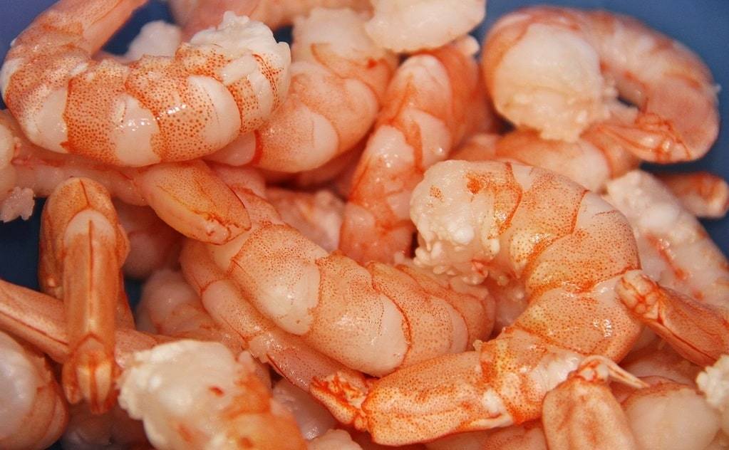 Elevage de crevettes bio, une nouvelle tendance